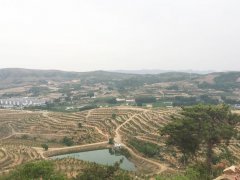 金龙山风景