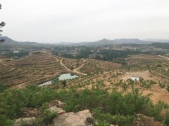 金龙山风景